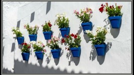 2024 08 frigiliana nerja2