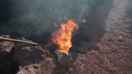 2022 le parc des volcans a10