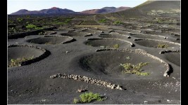 2022 les vignes a lanzarote7