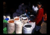 Mexique 1996