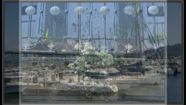 2024 05 20 jour belvedere viana